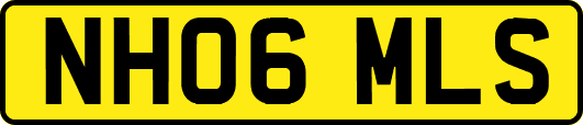NH06MLS