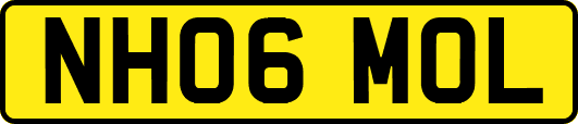 NH06MOL