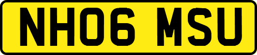 NH06MSU