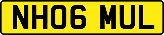 NH06MUL