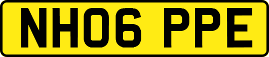 NH06PPE