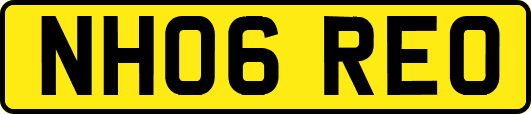 NH06REO