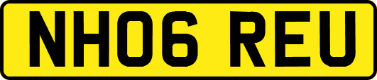 NH06REU