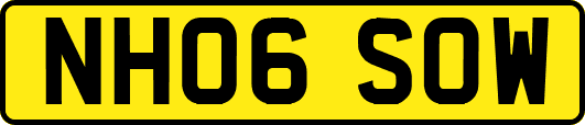 NH06SOW