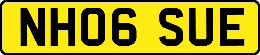 NH06SUE