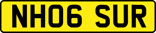 NH06SUR