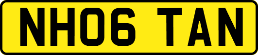 NH06TAN