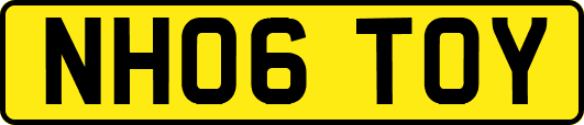 NH06TOY