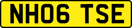 NH06TSE