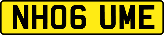 NH06UME