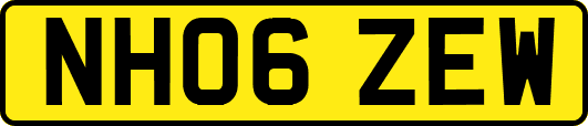 NH06ZEW