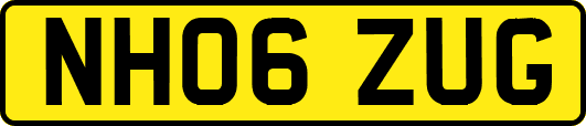 NH06ZUG