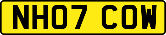NH07COW