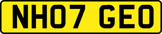 NH07GEO