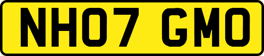 NH07GMO