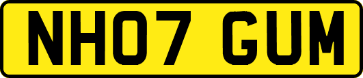 NH07GUM