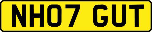 NH07GUT
