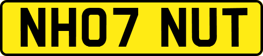 NH07NUT