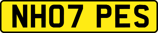 NH07PES
