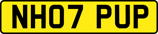 NH07PUP