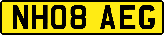 NH08AEG