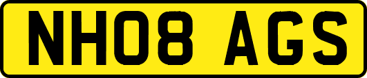 NH08AGS