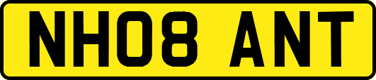 NH08ANT