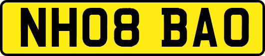 NH08BAO
