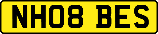NH08BES