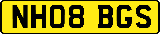 NH08BGS