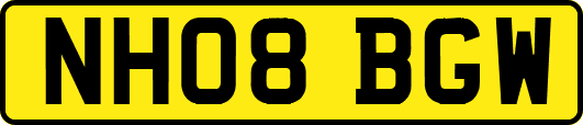 NH08BGW