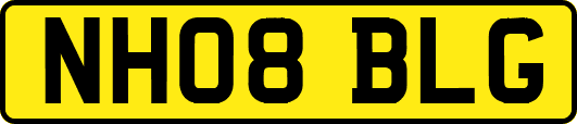 NH08BLG