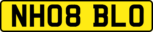 NH08BLO