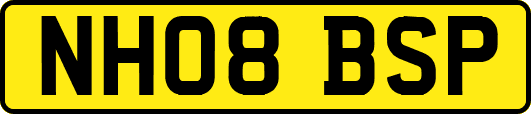 NH08BSP