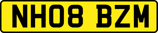 NH08BZM