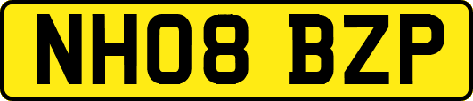 NH08BZP