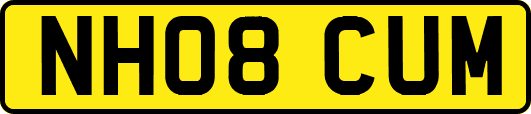 NH08CUM