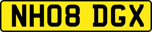 NH08DGX