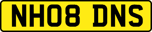 NH08DNS