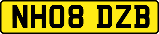 NH08DZB