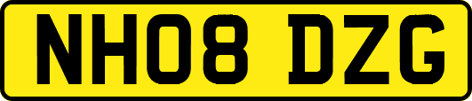 NH08DZG