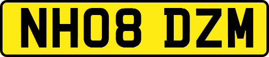 NH08DZM