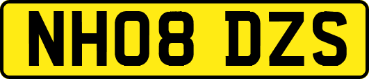 NH08DZS