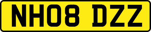 NH08DZZ