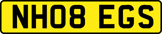 NH08EGS