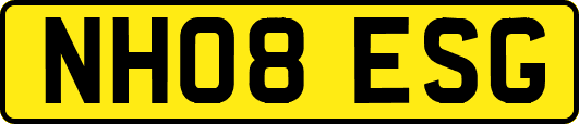 NH08ESG