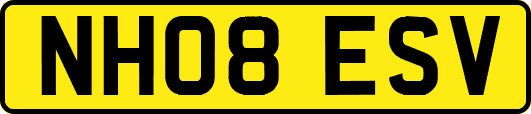 NH08ESV