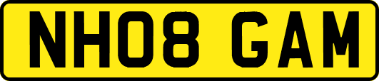 NH08GAM
