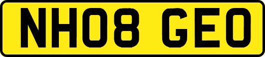 NH08GEO