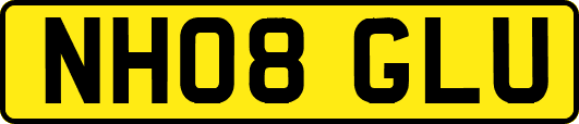 NH08GLU